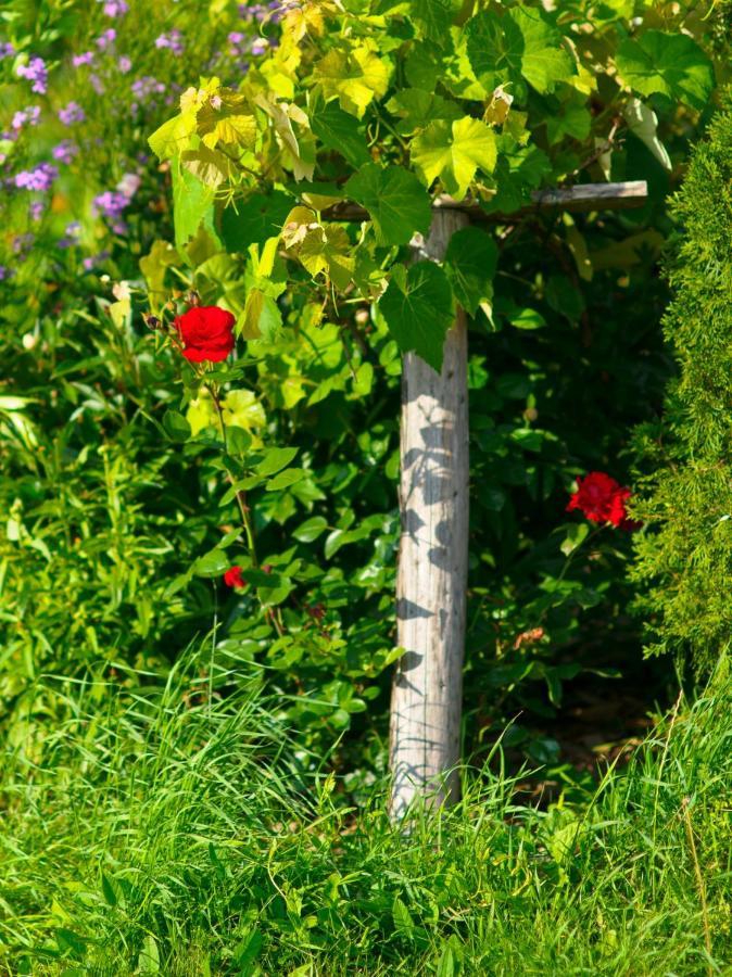 Villa Zacisze Uherce Mineralne